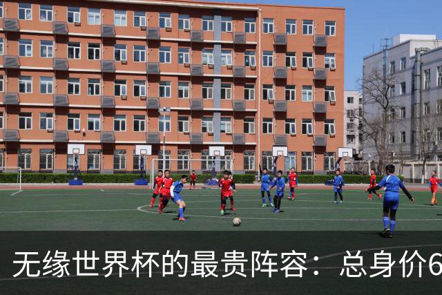 无缘世界杯的最贵阵容：总身价6.7亿 意大利5人